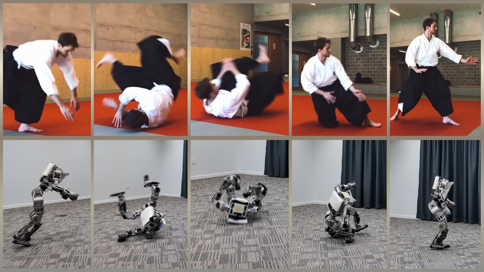 ukemi-safefall.jpg